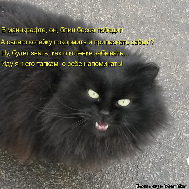 В майнкрафте, он, блин босса победил А своего котейку покормить и приласкать забыл? Ну, будет знать, ... Котоматрица: В майнкрафте, он, блин босса победил А своего котейку покормить и приласкать забыл? Ну, будет знать, как о котенке забывать... Иду я к его тапк