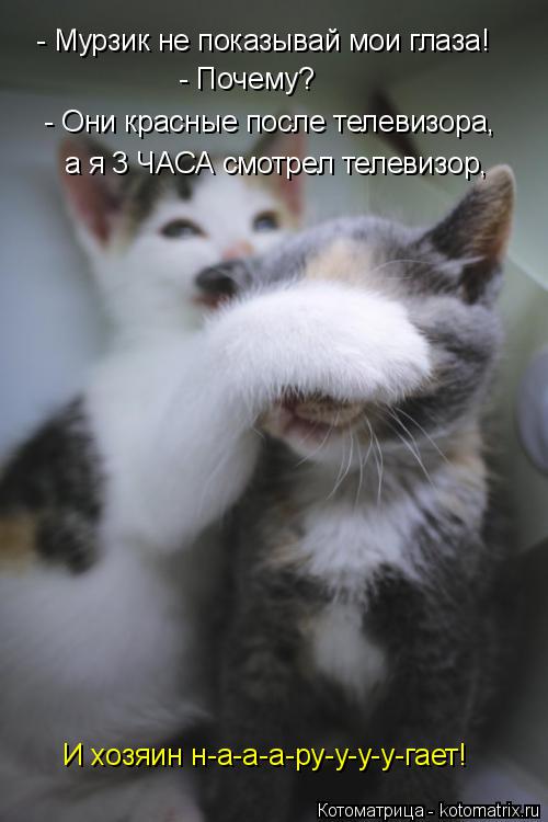 - Мурзик не показывай мои глаза! - Почему? - Они красные после телевизора, а я 3 ЧАСА смотрел телевиз... Котоматрица: - Мурзик не показывай мои глаза! - Почему? - Они красные после телевизора, а я 3 ЧАСА смотрел телевизор, И хозяин н-а-а-а-ру-у-у-у-гает!