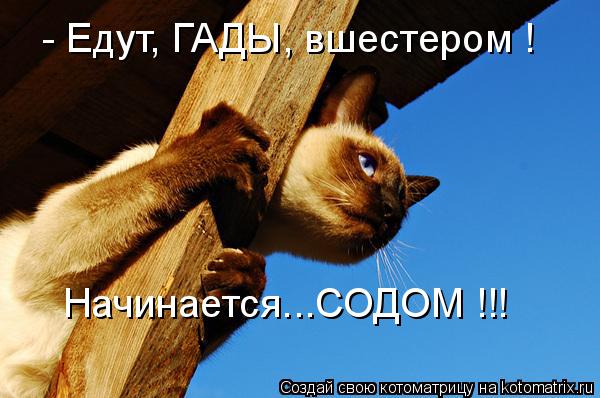 - Едут, ГАДЫ, вшестером ! Начинается...СОДОМ !!!... Котоматрица: - Едут, ГАДЫ, вшестером ! Начинается...СОДОМ !!!