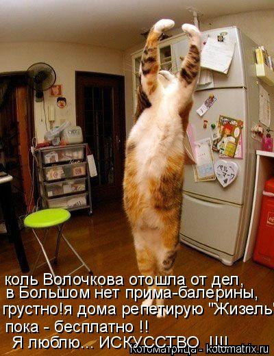 коль Волочкова отошла от дел, в Большом нет прима-балерины, грустно!я дома репетирую "Жизель" пока - ... Котоматрица: коль Волочкова отошла от дел, в Большом нет прима-балерины, грустно!я дома репетирую "Жизель" пока - бесплатно !! Я люблю... ИСКУССТВО !!!!