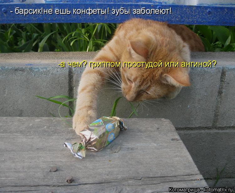 барсик!не ешь конфеты! зубы заболеют! - -а чем? гриппом,простудой или ангиной?... Котоматрица: барсик!не ешь конфеты! зубы заболеют! - -а чем? гриппом,простудой или ангиной?
