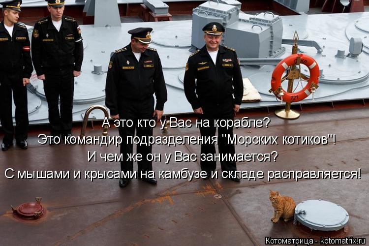 А это кто у Вас на корабле? Это командир подразделения "Морских котиков"! И чем же он у Вас занимаетс... Котоматрица: А это кто у Вас на корабле? Это командир подразделения "Морских котиков"! И чем же он у Вас занимается? С мышами и крысами на камбузе и складе