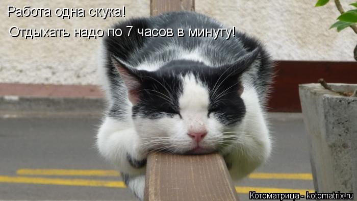 Работа одна скука! Отдыхать надо по 7 часов в минуту!... Котоматрица: Работа одна скука! Отдыхать надо по 7 часов в минуту!
