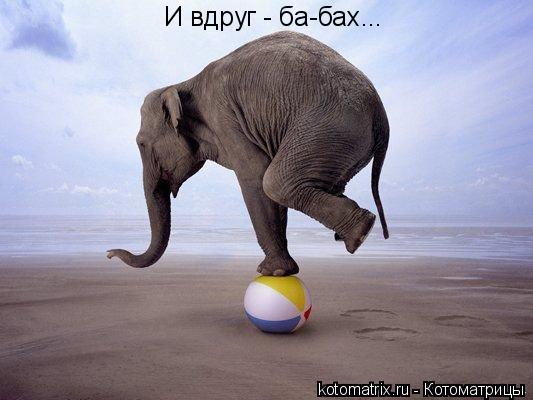 И вдруг - ба-бах...... Котоматрица: И вдруг - ба-бах...