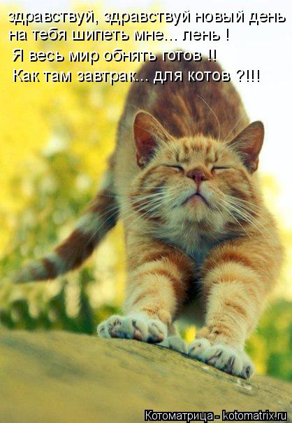 здравствуй, здравствуй новый день ! на тебя шипеть мне... лень ! Я весь мир обнять готов !! Как там з... Котоматрица: здравствуй, здравствуй новый день ! на тебя шипеть мне... лень ! Я весь мир обнять готов !! Как там завтрак... для котов ?!!!