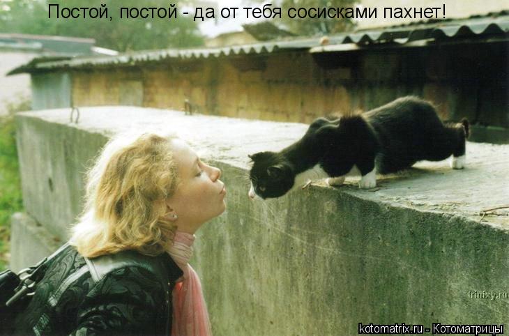 Постой, постой - да от тебя сосисками пахнет!... Котоматрица: Постой, постой - да от тебя сосисками пахнет!