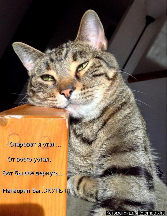 - Староват я стал... От всего устал, Натворил бы...ЖУТЬ !!! Вот бы всё вернуть...... Котоматрица: - Староват я стал... От всего устал, Натворил бы...ЖУТЬ !!! Вот бы всё вернуть...