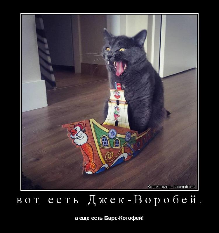 вот есть Джек-Воробей. а еще есть Барс-Котофей!... Котоматрица: вот есть Джек-Воробей. а еще есть Барс-Котофей!