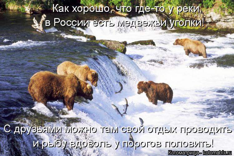 Как хорошо, что где-то у реки, в России есть медвежьи уголки! С друзьями можно там свой отдых проводи... Котоматрица: Как хорошо, что где-то у реки, в России есть медвежьи уголки! С друзьями можно там свой отдых проводить и рыбу вдоволь у порогов половить!