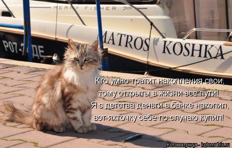 Кто умно тратит накопления свои, тому открыты в жизни все пути! Я с детства деньги в банке накопил, в... Котоматрица: Кто умно тратит накопления свои, тому открыты в жизни все пути! Я с детства деньги в банке накопил, вот яхточку себе по случаю купил!
