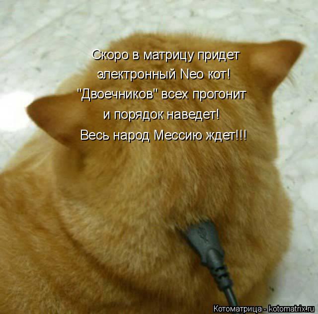 Скоро в матрицу придет электронный Neo кот! "Двоечников" всех прогонит и порядок наведет! Весь народ ... Котоматрица: Скоро в матрицу придет электронный Neo кот! "Двоечников" всех прогонит и порядок наведет! Весь народ Мессию ждет!!!
