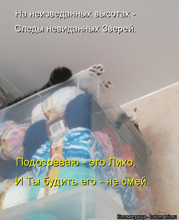 На неизведанных высотах - Следы невиданных Зверей. Подозреваю - это Лихо, И Ты будить его - не смей.... Котоматрица: На неизведанных высотах - Следы невиданных Зверей. Подозреваю - это Лихо, И Ты будить его - не смей.