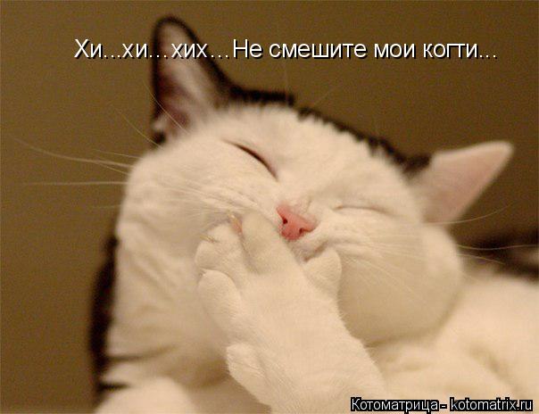 Хи...хи…хих…Не смешите мои когти...... Котоматрица: Хи...хи…хих…Не смешите мои когти...