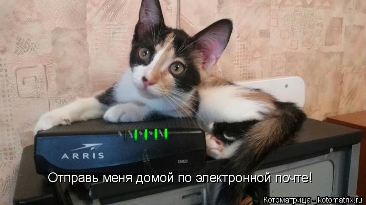 Отправь меня домой по электронной почте! Отправь меня домой по электронной почте!... Котоматрица: Отправь меня домой по электронной почте! Отправь меня домой по электронной почте!