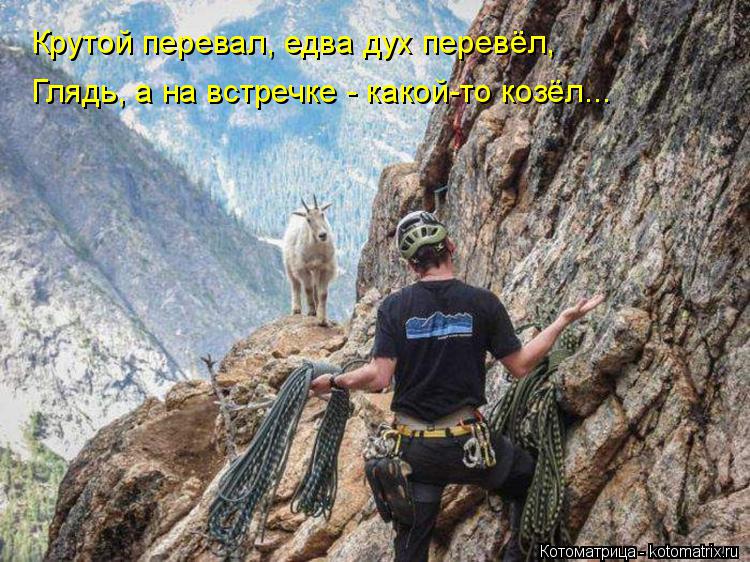 Крутой перевал, едва дух перевёл, Глядь, а на встречке - какой-то козёл...... Котоматрица: Крутой перевал, едва дух перевёл, Глядь, а на встречке - какой-то козёл...