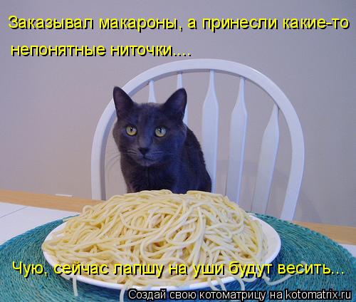 Заказывал макароны, а принесли какие-то непонятные ниточки.... Чую, сейчас лапшу на уши будут весит... Котоматрица: Заказывал макароны, а принесли какие-то непонятные ниточки.... Чую, сейчас лапшу на уши будут весить...