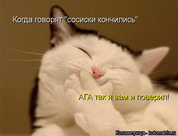 Когда говорят "сосиски кончились" АГА так я вам и поверил!... Котоматрица: Когда говорят "сосиски кончились" АГА так я вам и поверил!