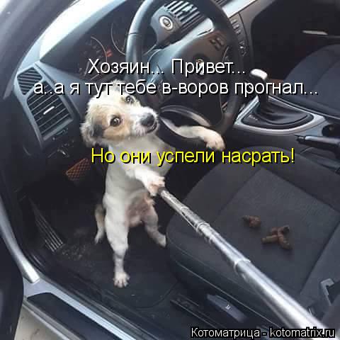 Хозяин... Привет... а..а я тут тебе в-воров прогнал... Но они успели насрать!... Котоматрица: Хозяин... Привет... а..а я тут тебе в-воров прогнал... Но они успели насрать!