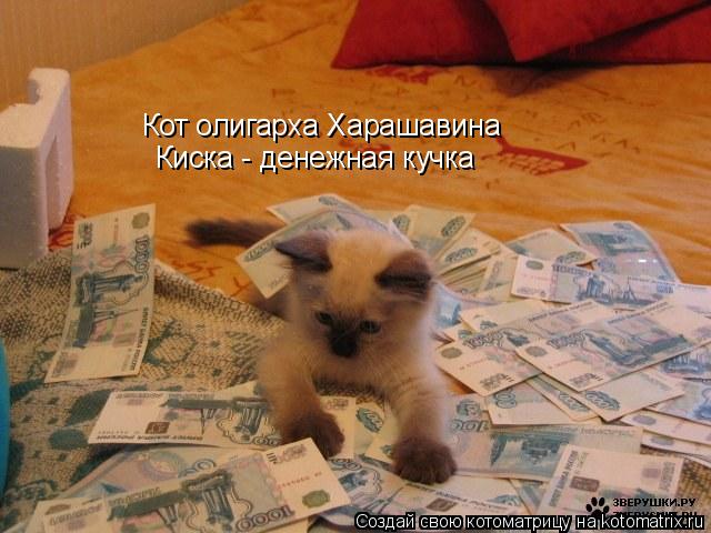 Котоматрица: Кот олигарха Харашавина Киска - денежная кучка