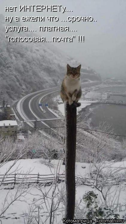 нет ИНТЕРНЕТу.... ну а ежели что ...срочно.. услуга.... платная.... "голосовая...почта" !!!... Котоматрица: нет ИНТЕРНЕТу.... ну а ежели что ...срочно.. услуга.... платная.... "голосовая...почта" !!!