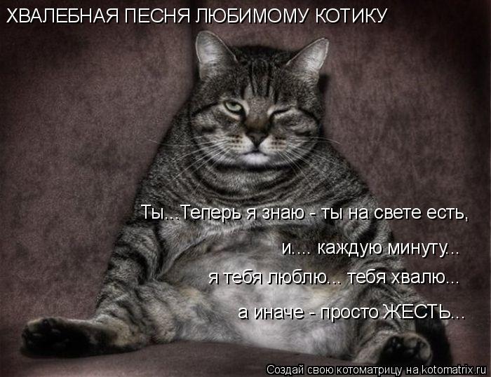 Ты...Теперь я знаю - ты на свете есть, и.... каждую минуту... я тебя люблю... тебя хвалю... а иначе ... Котоматрица: Ты...Теперь я знаю - ты на свете есть, и.... каждую минуту... я тебя люблю... тебя хвалю... а иначе - просто ЖЕСТЬ... ХВАЛЕБНАЯ ПЕСНЯ ЛЮБИМОМУ КОТИКУ