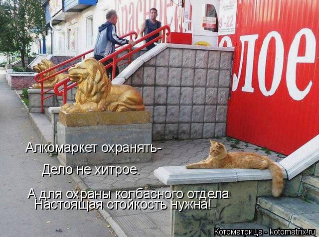 Алкомаркет охранять- Дело не хитрое. А для охраны колбасного отдела Настоящая стойкость нужна!... Котоматрица: Алкомаркет охранять- Дело не хитрое. А для охраны колбасного отдела Настоящая стойкость нужна!