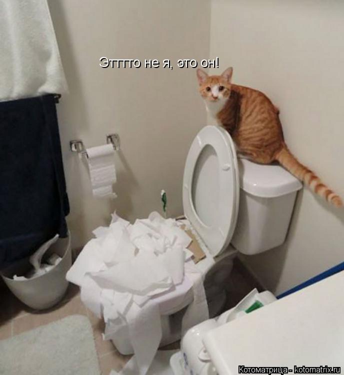 Этттто не я, это он!... Котоматрица: Этттто не я, это он!