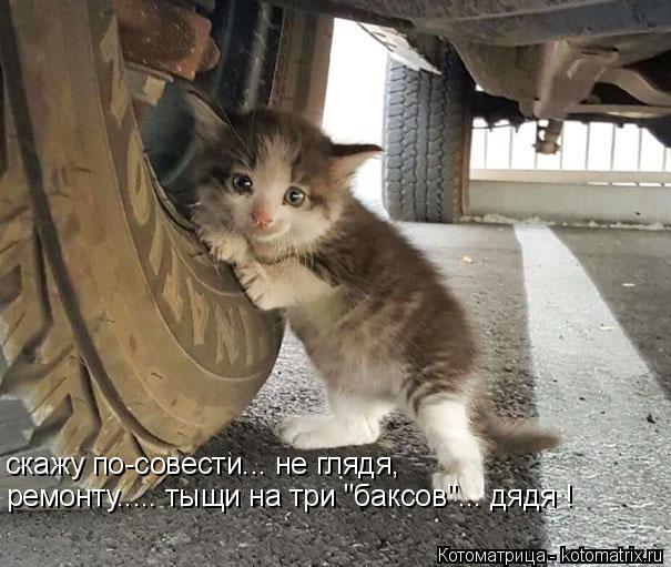 скажу по-совести... не глядя, ремонту..... тыщи на три "баксов"... дядя !... Котоматрица: скажу по-совести... не глядя, ремонту..... тыщи на три "баксов"... дядя !