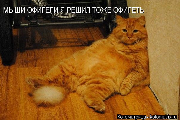 МЫШИ ОФИГЕЛИ Я РЕШИЛ ТОЖЕ ОФИГЕТЬ... Котоматрица: МЫШИ ОФИГЕЛИ Я РЕШИЛ ТОЖЕ ОФИГЕТЬ