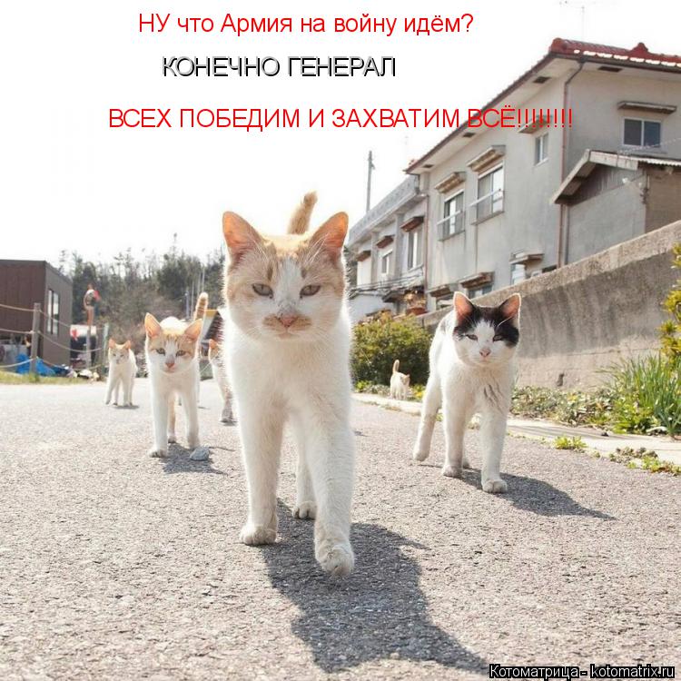 НУ что Армия на войну идём? ВСЕХ ПОБЕДИМ И ЗАХВАТИМ ВСЁ!!!!!!!! КОНЕЧНО ГЕНЕРАЛ... Котоматрица: НУ что Армия на войну идём? ВСЕХ ПОБЕДИМ И ЗАХВАТИМ ВСЁ!!!!!!!! КОНЕЧНО ГЕНЕРАЛ