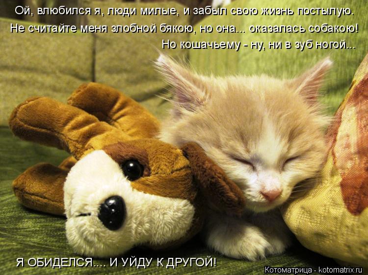 Ой, влюбился я, люди милые, и забыл свою жизнь постылую. Не считайте меня злобной бякою, но она... ок... Котоматрица: Ой, влюбился я, люди милые, и забыл свою жизнь постылую. Не считайте меня злобной бякою, но она... оказалась собакою! Но кошачьему - ну, ни в зуб