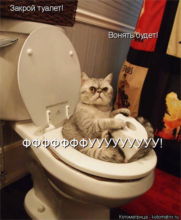 Закрой туалет! Вонять будет! ФФФФФФФУУУУУУУУУ!... Котоматрица: Закрой туалет! Вонять будет! ФФФФФФФУУУУУУУУУ!