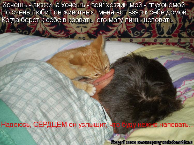 Хочешь - визжи, а хочешь - вой: хозяин мой - глухонемой. Но очень любит он животных, меня вот взял к ... Котоматрица: Хочешь - визжи, а хочешь - вой: хозяин мой - глухонемой. Но очень любит он животных, меня вот взял к себе домой. Когда берет к себе в кровать, его