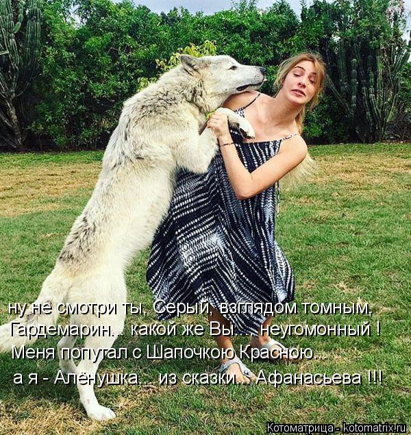 ну не смотри ты, Серый, взглядом томным, Гардемарин... какой же Вы.... неугомонный ! Меня попутал с Ш... Котоматрица: ну не смотри ты, Серый, взглядом томным, Гардемарин... какой же Вы.... неугомонный ! Меня попутал с Шапочкою Красною... а я - Алёнушка... из сказки..