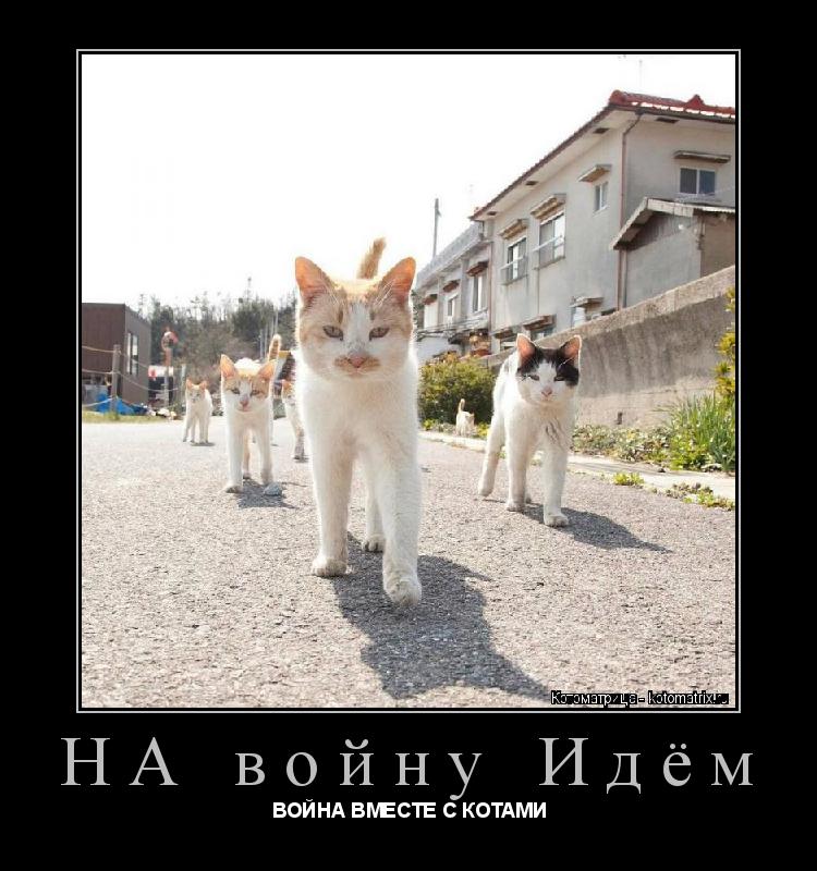 НА войну Идём ВОЙНА ВМЕСТЕ С КОТАМИ... Котоматрица: НА войну Идём ВОЙНА ВМЕСТЕ С КОТАМИ