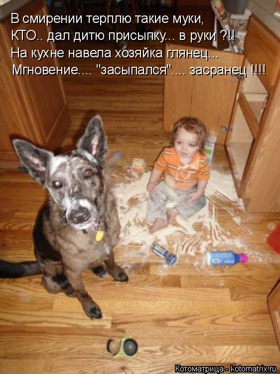 КТО.. дал дитю присыпку... в руки ?!! В смирении терплю такие муки, На кухне навела хозяйка глянец...... Котоматрица: КТО.. дал дитю присыпку... в руки ?!! В смирении терплю такие муки, На кухне навела хозяйка глянец... Мгновение.... "засыпался".... засранец !!!!