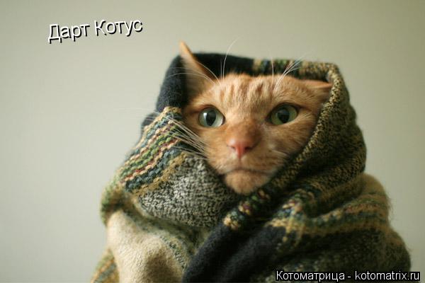 Дарт Котус... Котоматрица: Дарт Котус