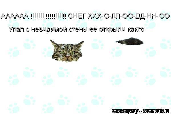 АААААА !!!!!!!!!!!!!!!!! СНЕГ ХХХ-О-ЛЛ-ОО-ДД-НН-ОО Упал с невидимой стены её открыли както... Котоматрица: АААААА !!!!!!!!!!!!!!!!! СНЕГ ХХХ-О-ЛЛ-ОО-ДД-НН-ОО Упал с невидимой стены её открыли както