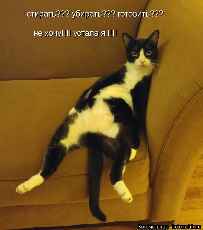 стирать??? убирать??? готовить??? не хочу!!!! устала я !!!!... Котоматрица: стирать??? убирать??? готовить??? не хочу!!!! устала я !!!!