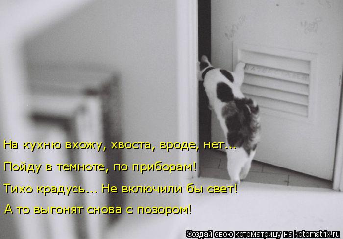На кухню вхожу, хвоста, вроде, нет... Пойду в темноте, по приборам! Тихо крадусь... Не включили бы св... Котоматрица: На кухню вхожу, хвоста, вроде, нет... Пойду в темноте, по приборам! Тихо крадусь... Не включили бы свет! А то выгонят снова с позором!