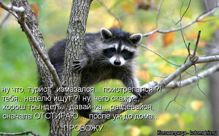 ну что, турист, измазался... поистрепался ?! тебя.. неделю ищут ?! ну, чего скажу..., хорош трындеть... Котоматрица: ну что, турист, измазался... поистрепался ?! тебя.. неделю ищут ?! ну, чего скажу..., хорош трындеть... давай-ка... раздевайся, сначала ОТСТИРАЮ.... п