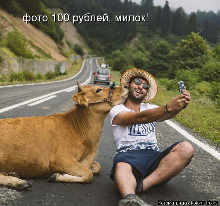 фото 100 рублей, милок!... Котоматрица: фото 100 рублей, милок!
