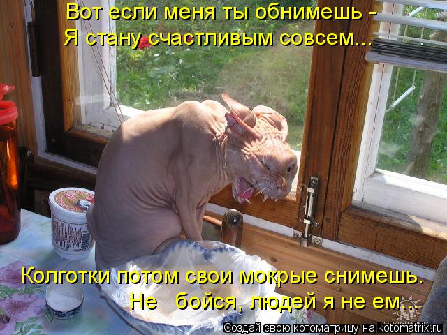 Вот если меня ты обнимешь - Я стану счастливым совсем... Колготки потом свои мокрые снимешь. Не бо... Котоматрица: Вот если меня ты обнимешь - Я стану счастливым совсем... Колготки потом свои мокрые снимешь. Не бойся, людей я не ем...