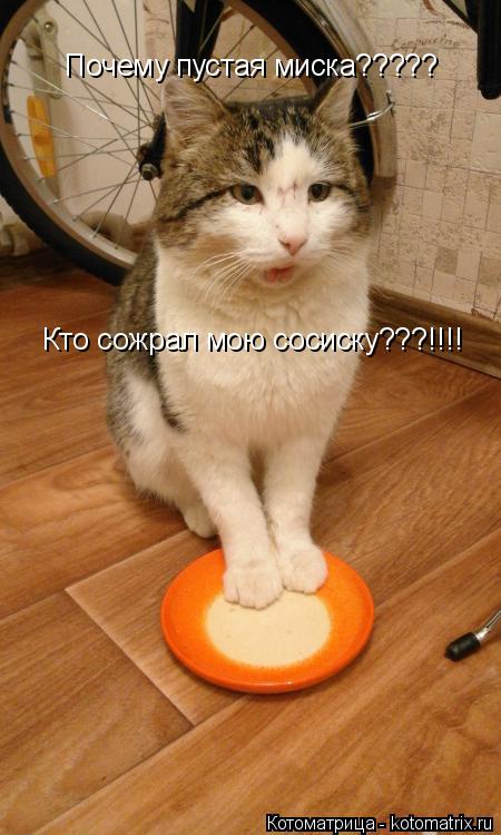 Почему пустая миска????? Кто сожрал мою сосиску???!!!!... Котоматрица: Почему пустая миска????? Кто сожрал мою сосиску???!!!!