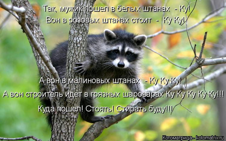 Вон в розовых штанах стоит - Ку Ку! А вон в малиновых штанах - Ку Ку Ку! А вон строитель идет в гр... Котоматрица: Вон в розовых штанах стоит - Ку Ку! А вон в малиновых штанах - Ку Ку Ку! А вон строитель идет в грязных шароварах Ку Ку Ку Ку Ку!!! Куда пошел! С