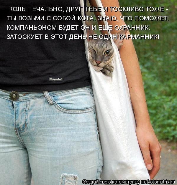 Котоматрица: КОЛЬ ПЕЧАЛЬНО, ДРУГ, ТЕБЕ И ТОСКЛИВО ТОЖЕ -  КОМПАНЬОНОМ БУДЕТ ОН И ЕЩЕ ОХРАННИК. ЗАТОСКУЕТ В ЭТОТ ДЕНЬ НЕ ОДИН КАРМАННИК! ТЫ ВОЗЬМИ С СОБОЙ КО