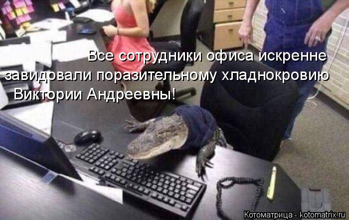 Котоматрица: Все сотрудники офиса искренне завидовали поразительному хладнокровию Виктории Андреевны! Виктории Андреевны!
