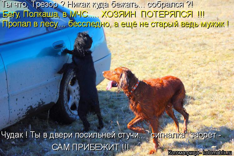 Ты что, Трезор ? Никак куда бежать... собрался ?! Бегу, Полкаша, в МЧС..... ХОЗЯИН ПОТЕРЯЛСЯ !!! Пр... Котоматрица: Ты что, Трезор ? Никак куда бежать... собрался ?! Бегу, Полкаша, в МЧС..... ХОЗЯИН ПОТЕРЯЛСЯ !!! Пропал в лесу.... бесследно, а ещё не старый ведь муж