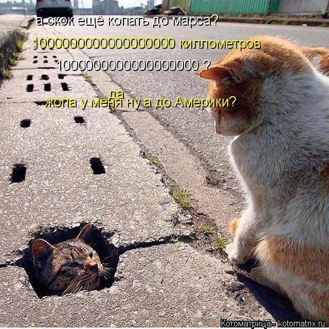 Котоматрица: а скок ещё копать до марса? 1000000000000000000 киллометров 1000000000000000000 ? да жопа у меня ну а до Америки?