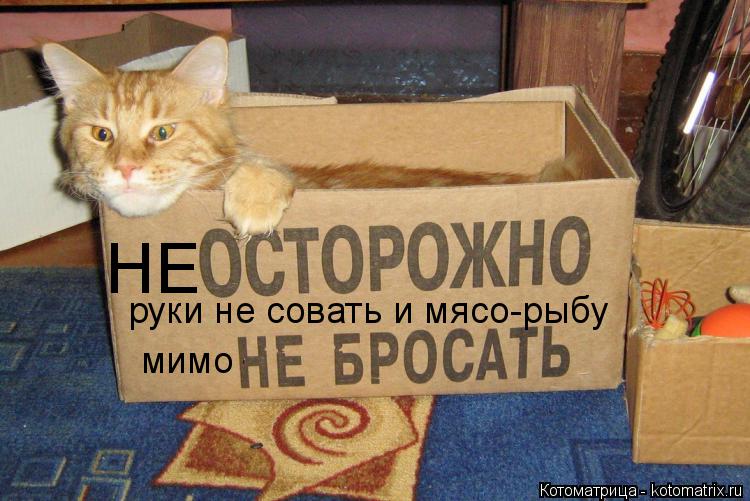Котоматрица: НЕ руки не совать и мясо-рыбу мимо